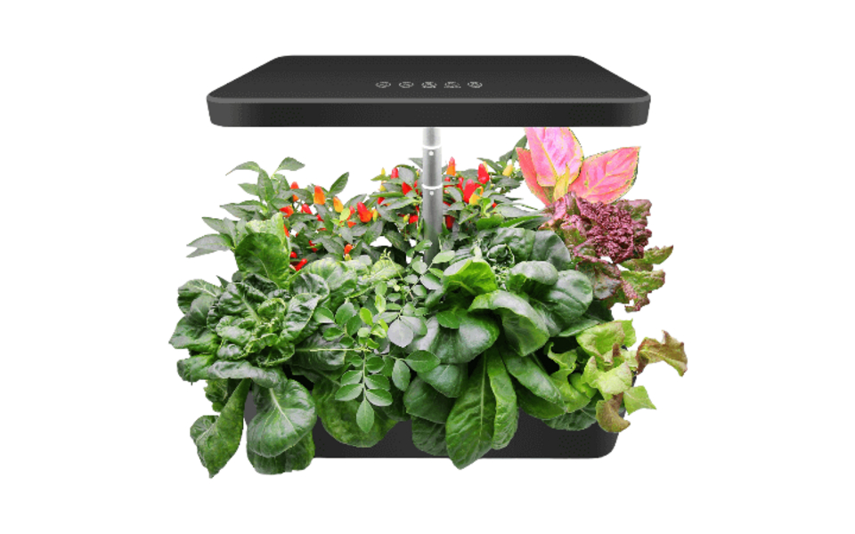 Easy Smart Garden 14
