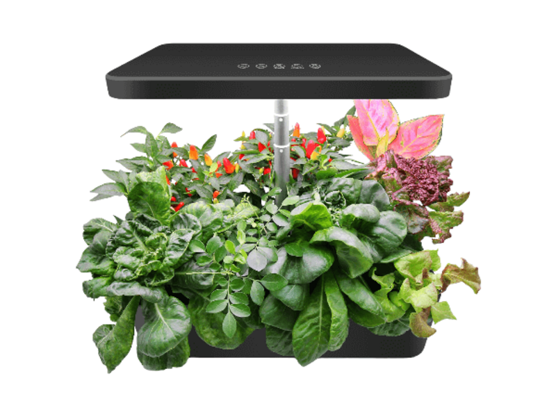 Easy Smart Garden 14 Easy Smart Garden 14