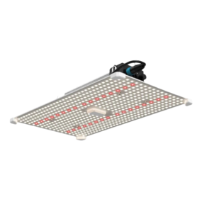 LUMii Black Blade 100w LUMii Black Blade 100w