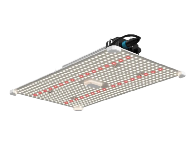 LUMii LUMii Black Blade 100w