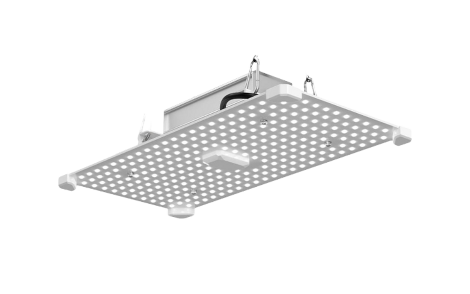 LUMii LUMii Black Blade 100w LED Kweeklamp