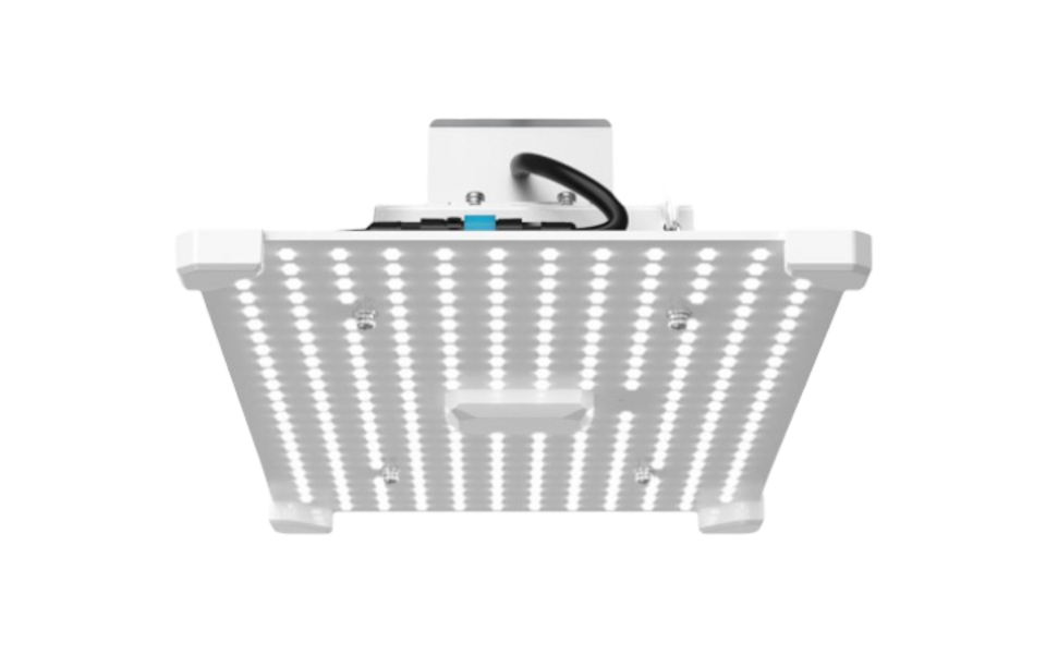 LUMii LUMii Black Blade 100w