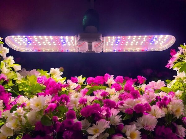 E27 LED groeilamp 20watt - HLW Chopper 2 E27 LED groeilamp 20watt - HLW Chopper 2