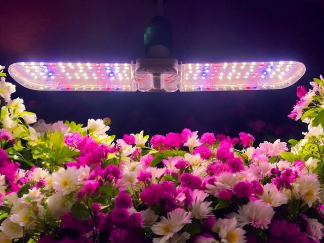 HLW E27 LED groeilamp 20watt - HLW Chopper 2