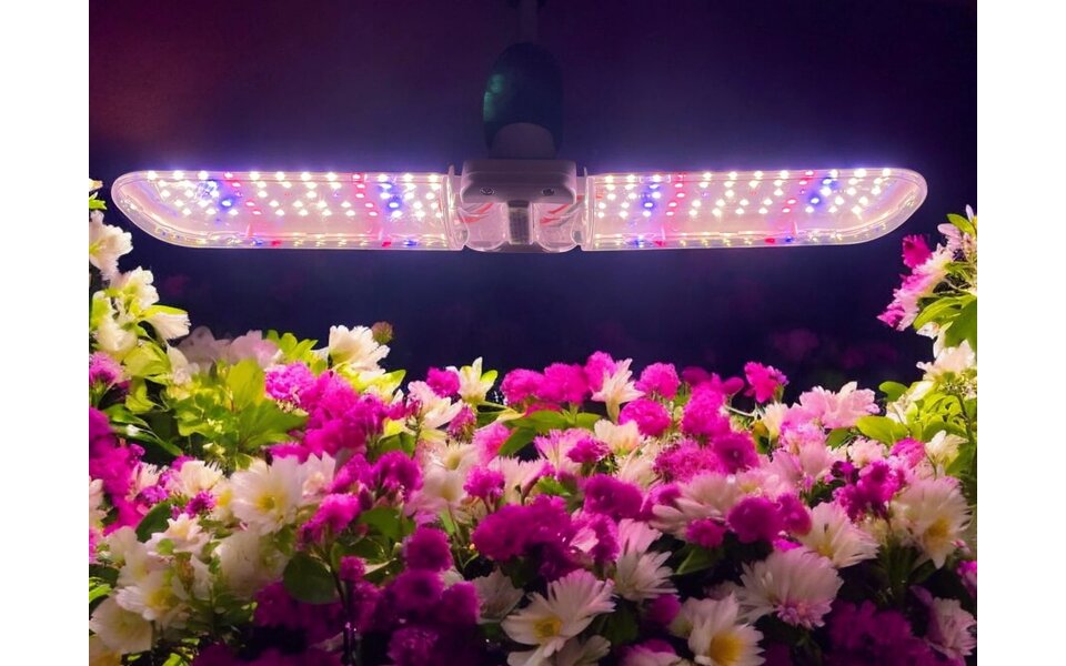 HLW E27 LED groeilamp 20watt - HLW Chopper 2