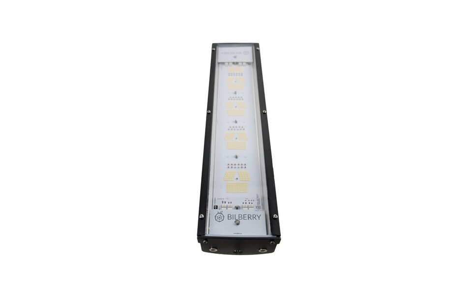 Bilberry Bilberry LED 160 watt