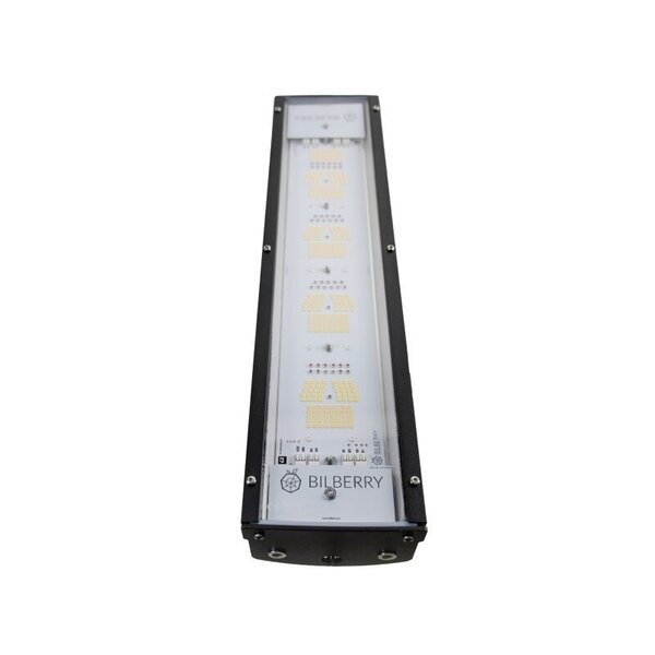 Bilberry Bilberry LED 160 watt Bilberry Bilberry LED 160 watt