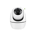 WiFi-videobewakingscamera HD1080