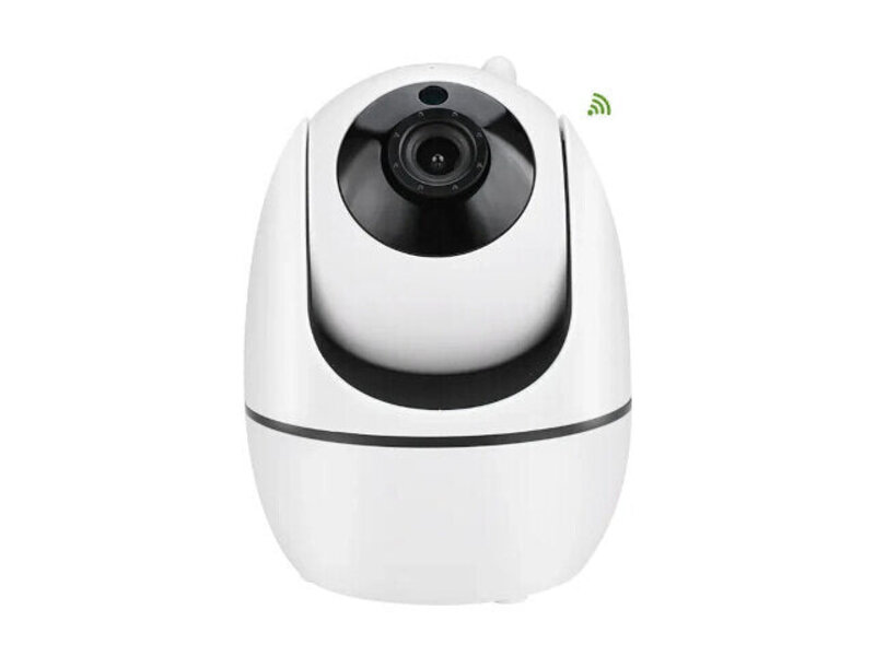 Smartlife Domotica WiFi-videobewakingscamera HD1080 Smartlife Domotica WiFi-videobewakingscamera HD1080