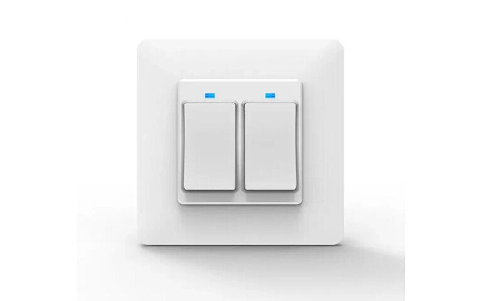 Smartlife Domotica Slimme inbouw schakelaar (2-knops)