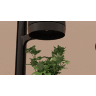 Mother Forest - 8 PlantPods