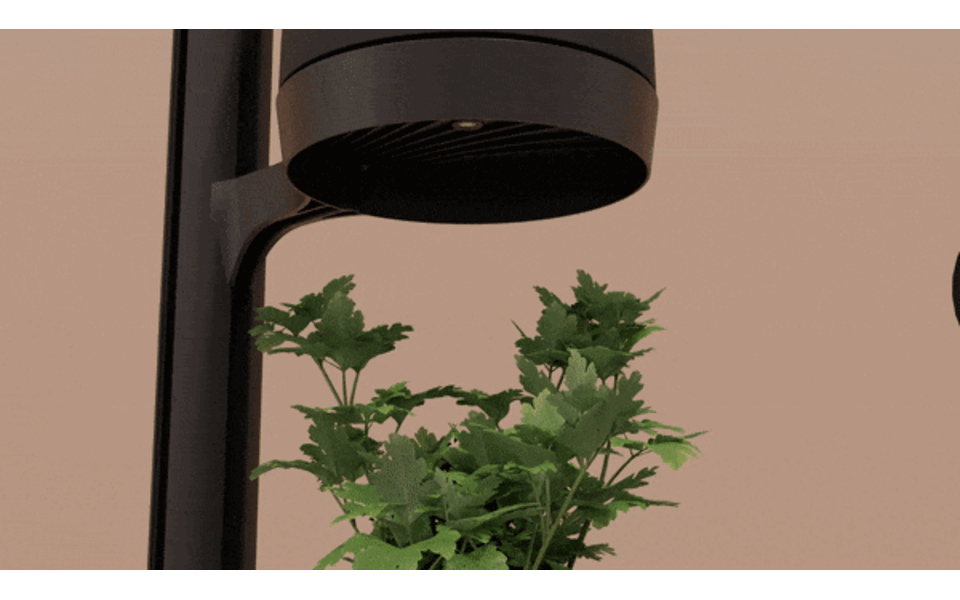 Mother Mother Forest - 8 PlantPods Mother Mother Forest - 8 PlantPods