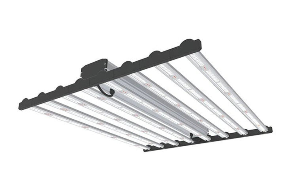 Megaphoton Megaphoton Spider 800