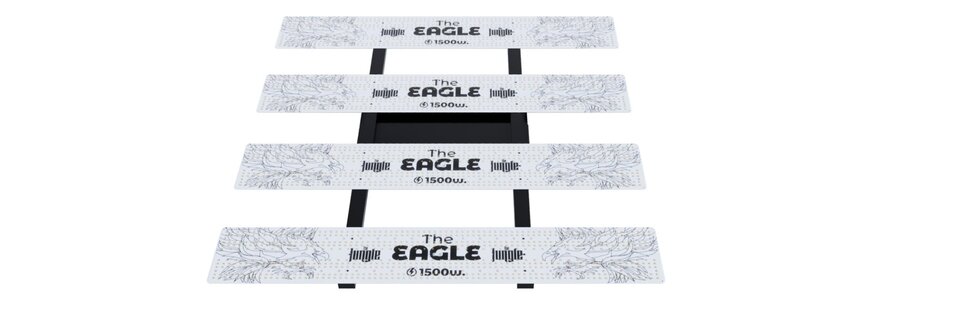 The Jungle The Jungle The Eagle 1500W The Jungle The Jungle The Eagle 1500W