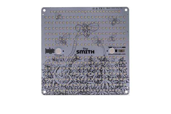 The Jungle The Jungle The Smith 150W The Jungle The Jungle The Smith 150W