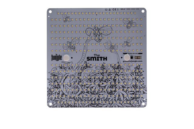 The Jungle The Jungle The Smith 150W