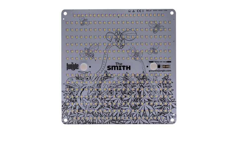 The Jungle The Jungle The Smith 150W