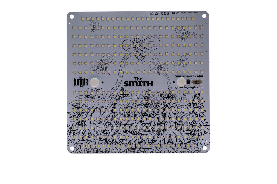 The Jungle The Jungle The Smith 150W The Jungle The Jungle The Smith 150W