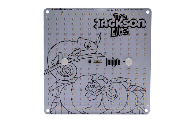 The Jungle The Jungle The Jackson LITE 100W
