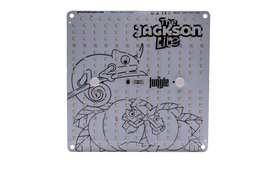 The Jungle The Jungle The Jackson LITE 100W
