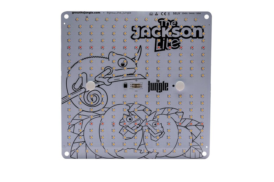The Jungle The Jungle The Jackson LITE 100W The Jungle The Jungle The Jackson LITE 100W