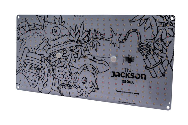 The Jungle The Jackson 250W Lite The Jungle The Jackson 250W Lite