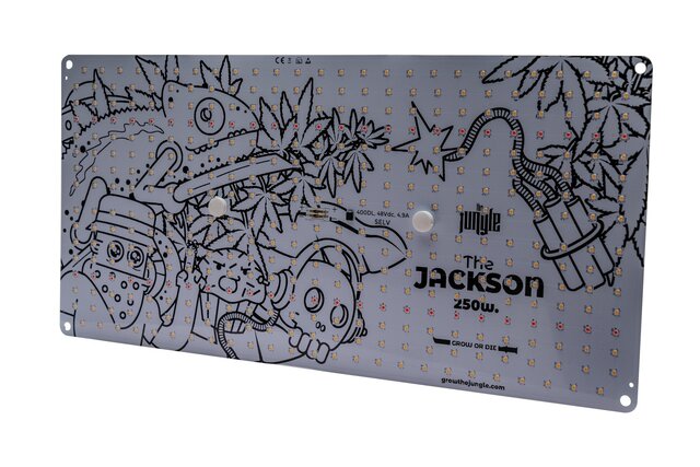 The Jungle The Jungle The Jackson 250W Lite