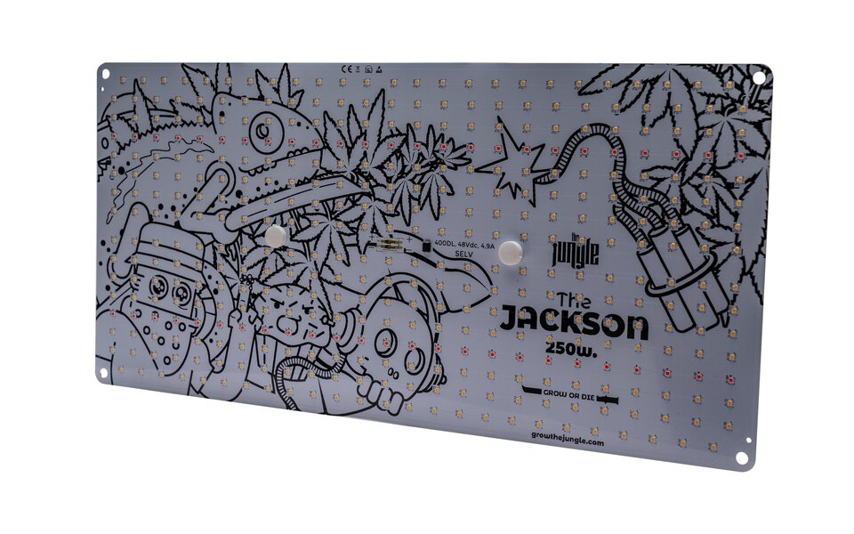 The Jungle The Jungle The Jackson 250W Lite