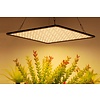 LED Groeipaneel 35 Watt