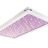 HLW LED Groeipaneel 50 Watt