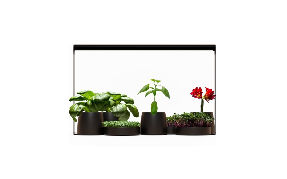 Mother Mother Plantspectrum 16