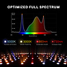 spectrum-sf1000 spectrum-sf1000