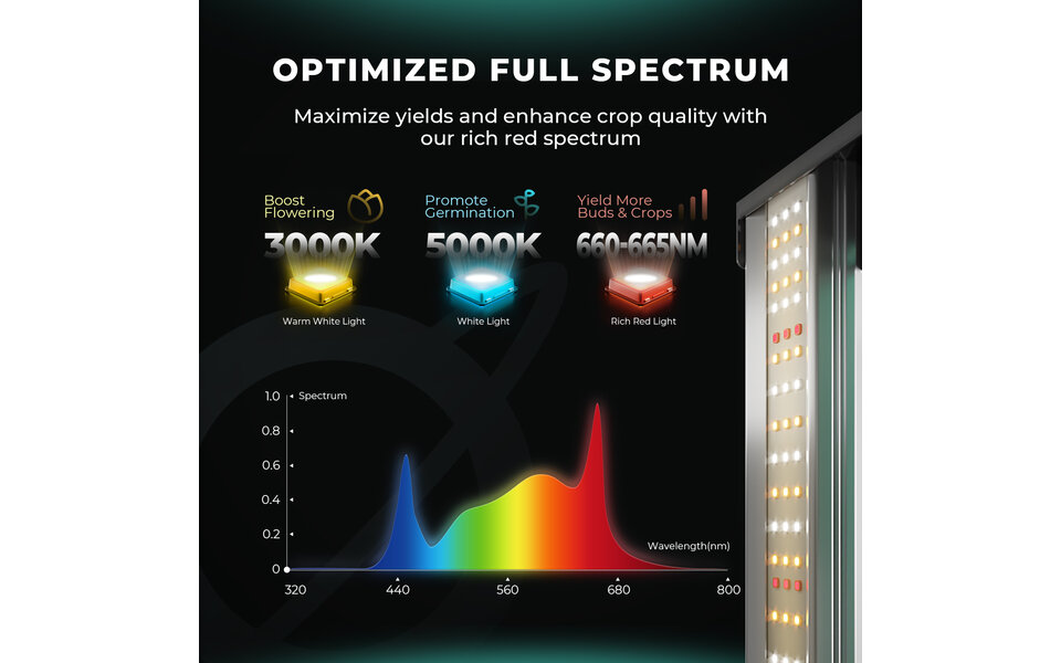 Mars Hydro Mars Hydro FC 6500 EVO LED Kweeklamp