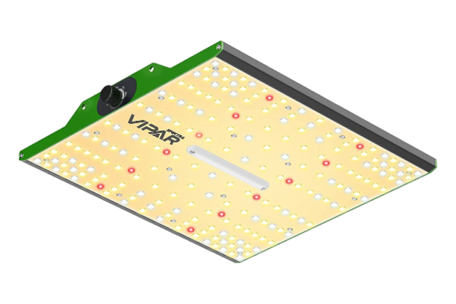 Viparspectra Viparspectra P1000