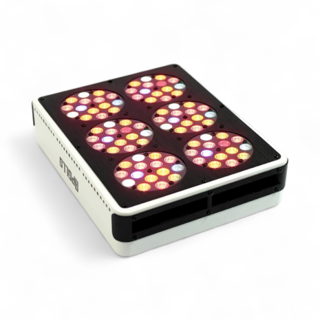 Apollo 6 LED Kweeklamp 12-Band Spectrum