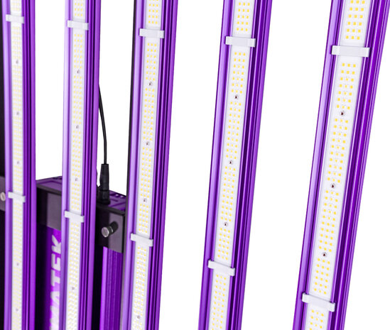 zeus1000xtremeppfdmap-min12