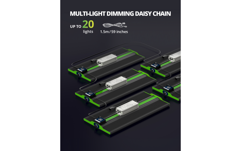 Viparspectra Viparspectra P2000