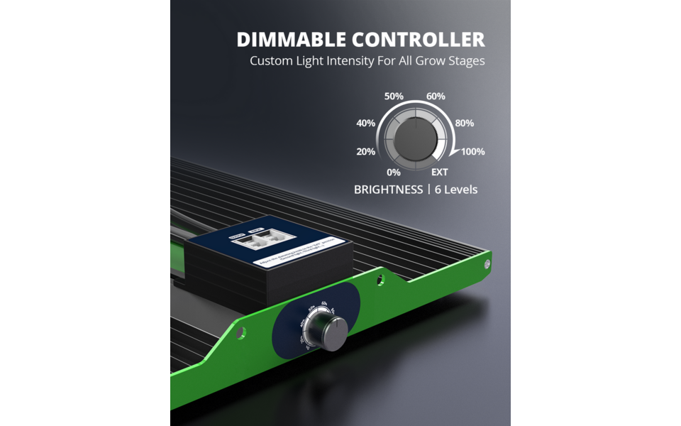 Viparspectra Viparspectra P2000