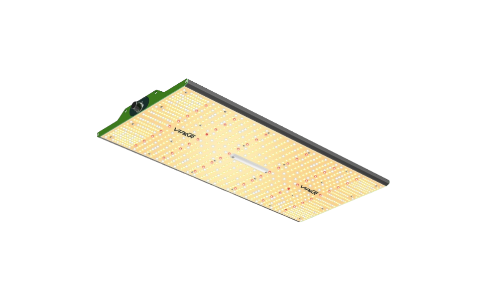 Viparspectra Viparspectra P2000