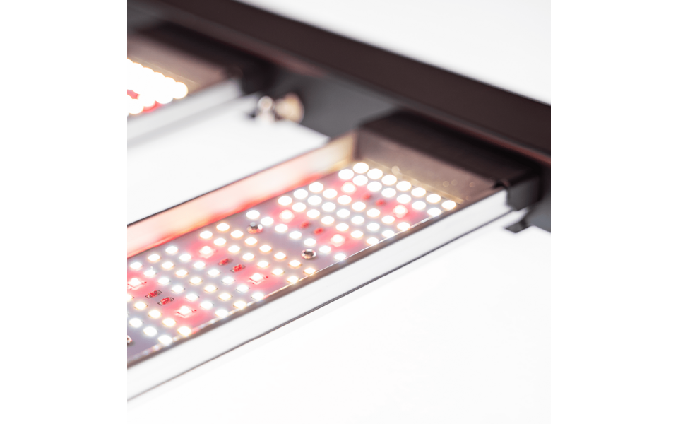 Migro MIGRO ARAY 500 LED Kweeklamp - Copy - Copy - Copy Migro MIGRO ARAY 500 LED Kweeklamp - Copy - Copy - Copy