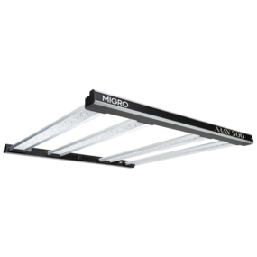 MIGRO ARAY 500 MIGRO ARAY 500