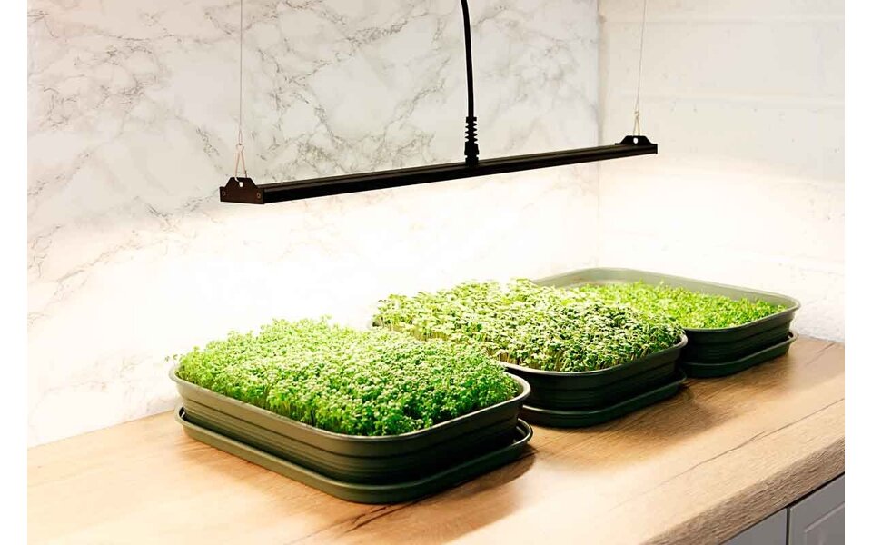 Migro MIGRO ARAY 1 LED Kweeklamp