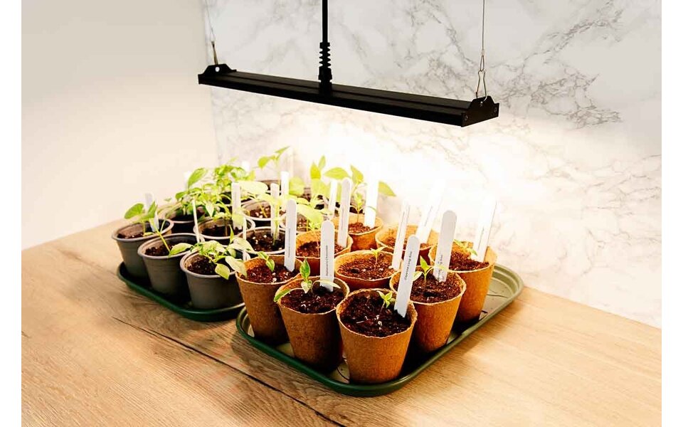 Migro MIGRO ARAY 1 LED Kweeklamp