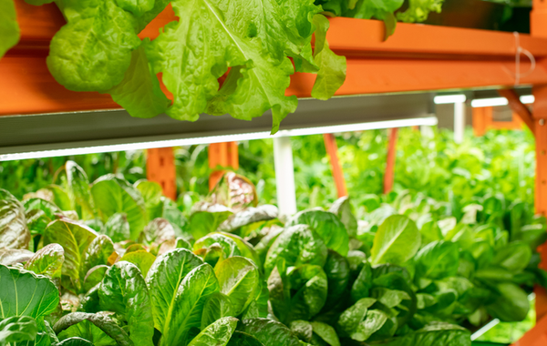 LED TL verlichting: de complete gids voor overstap