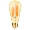 LED Lamp E27 Edison Filament Brinton 6W ST64 Dimbaar