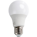 LED Lamp E27 Fitting 12W Helder/Koud Wit 6500K