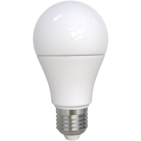 LED Lamp E27 Fitting 10W Dimbaar Helder/Koud Wit 6400K