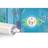 HLW LED Aigi Trunka R7S LED Lamp 16W - Helder/Koud Wit 6500K - Glas