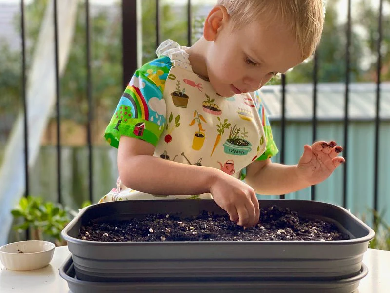 Hoe kweek ik groenten binnenshuis met behulp van groeilampen?