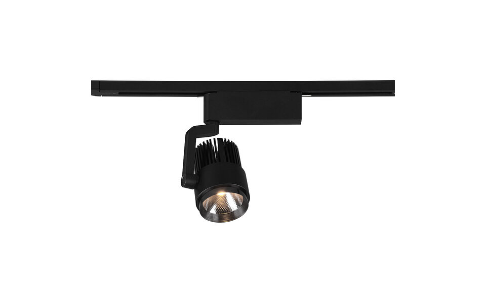 HLW LED Dimbare 15W LED Spot - Aanpasbare Kleur LED Lamp in Mat Zwart Aluminium